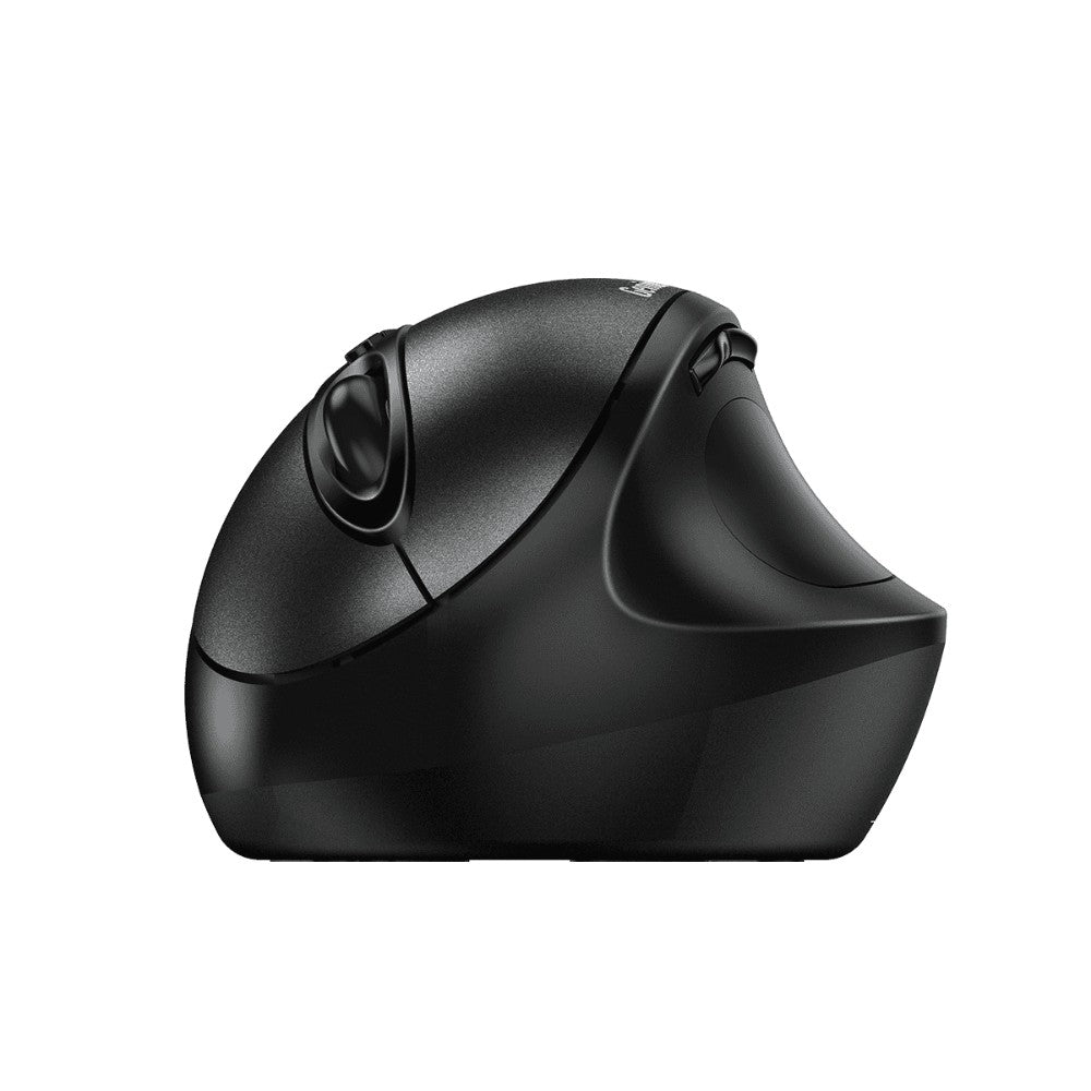 Mouse Genius óptico Ergo 8300S