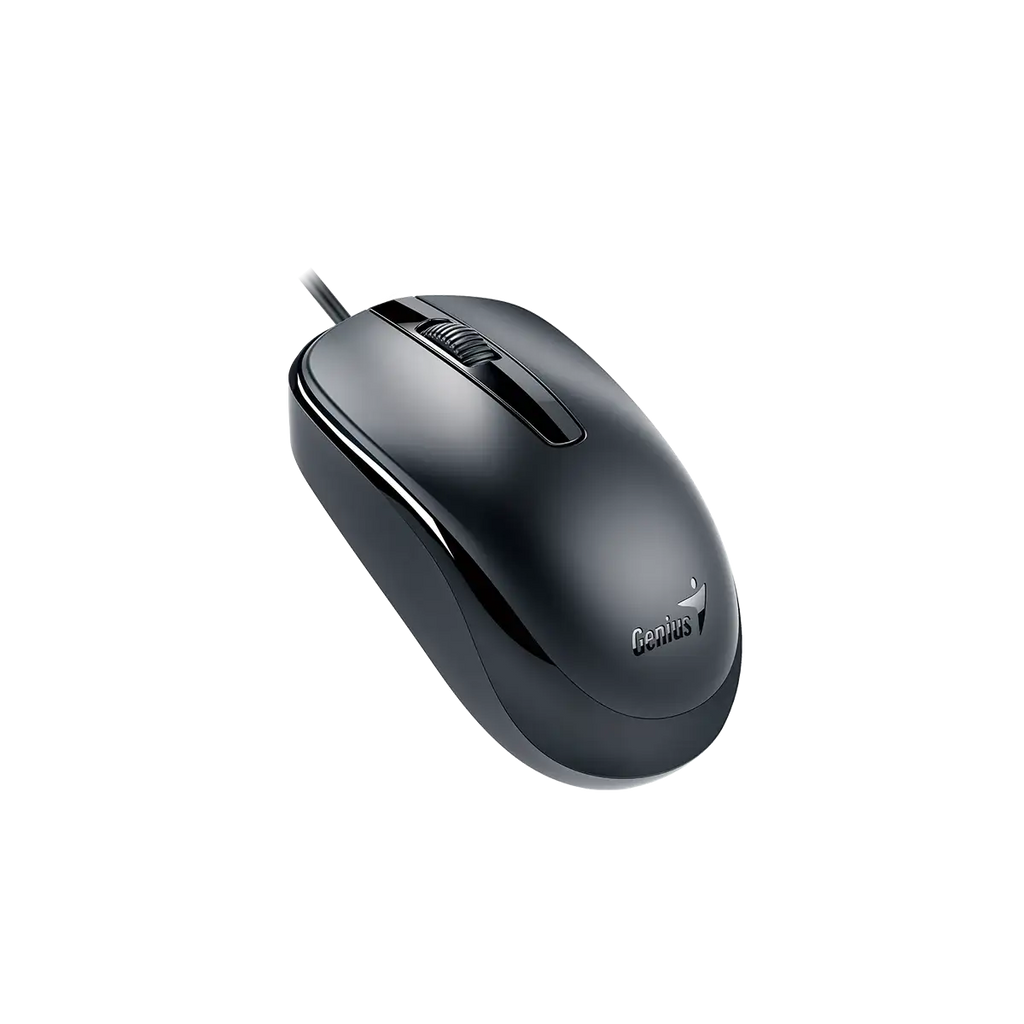 Mouse Rs Dx-120 Usb Negro